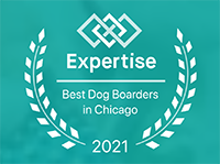 2021 Best Dog Boarders in Chicago logo